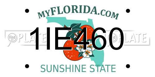 1IE460 Florida License Plate