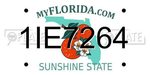 1IE7264 Florida License Plate