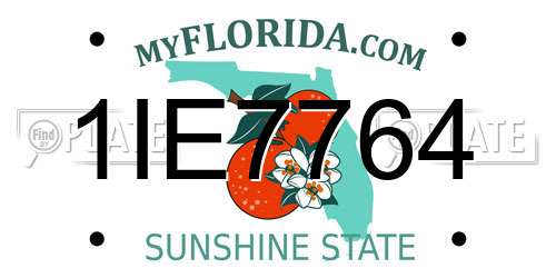 1IE7764 Florida License Plate