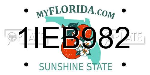 1IEB982 Florida License Plate