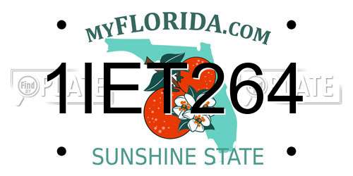 1IET264 Florida License Plate