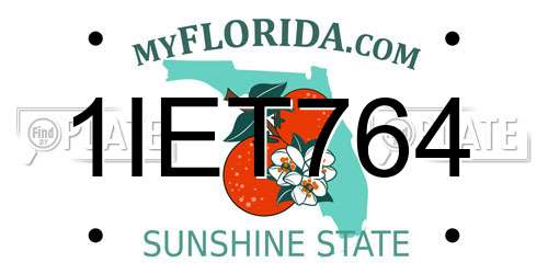 1IET764 Florida License Plate