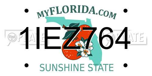 1IEZ764 Florida License Plate