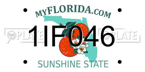 1IF046 Florida License Plate