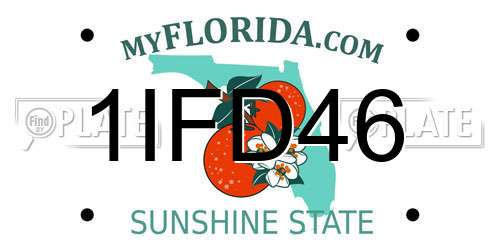 1IFD46 Florida License Plate