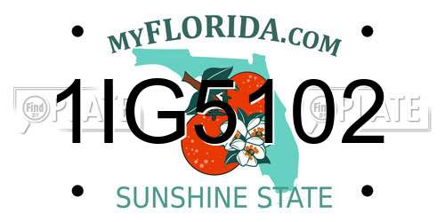1IG5102 Florida License Plate