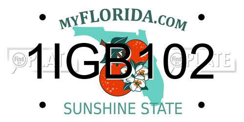 1IGB102 Florida License Plate