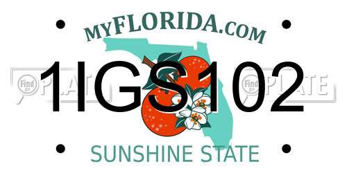 1IGS102 Florida License Plate