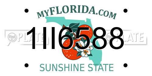 1II6588 Florida License Plate