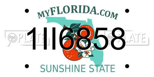 1II6858 Florida License Plate