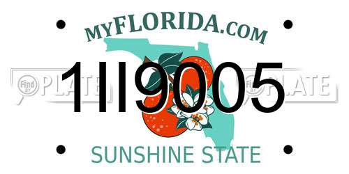 1II9005 Florida License Plate