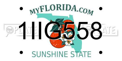 1IIG558 Florida License Plate