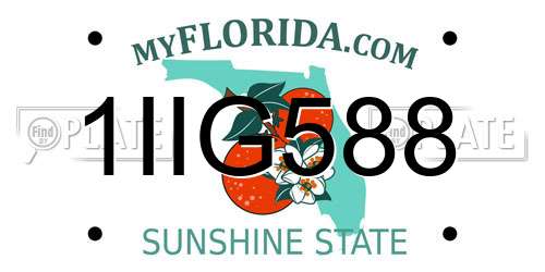 1IIG588 Florida License Plate