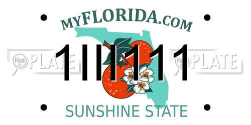 1III111 Florida License Plate