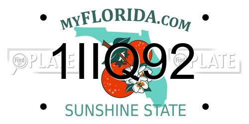 1IIQ92 Florida License Plate