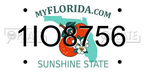 1IO8756 Florida License Plate