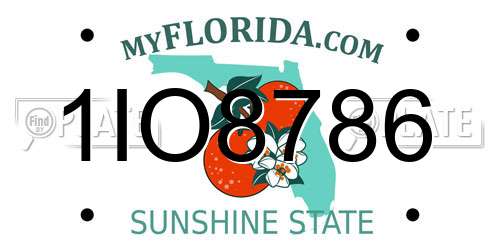 1IO8786 Florida License Plate