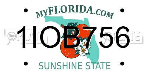 1IOB756 Florida License Plate