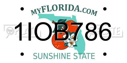 1IOB786 Florida License Plate