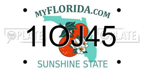 1IOJ45 Florida License Plate
