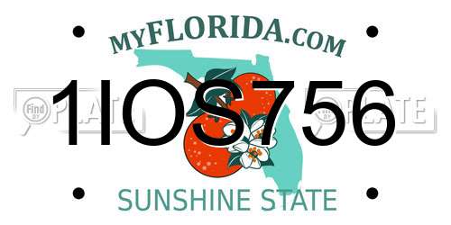 1IOS756 Florida License Plate