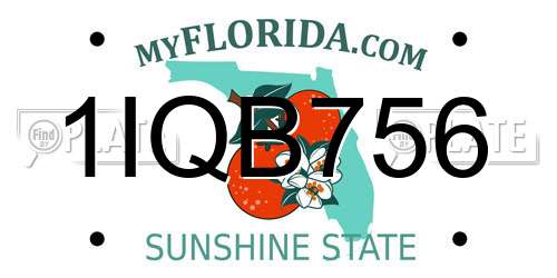 1IQB756 Florida License Plate