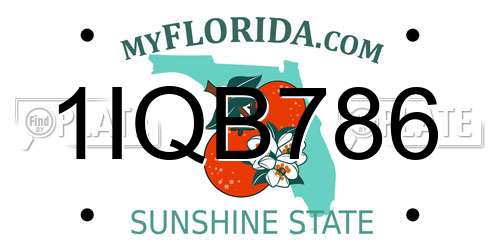 1IQB786 Florida License Plate