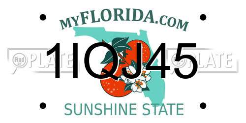 1IQJ45 Florida License Plate