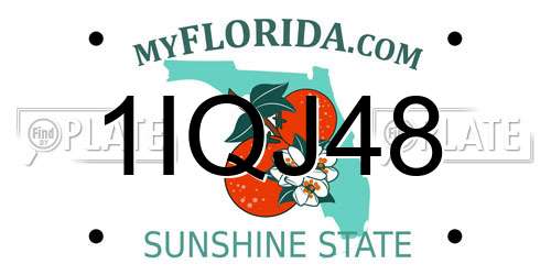 1IQJ48 Florida License Plate