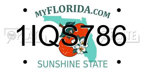 1IQS786 Florida License Plate