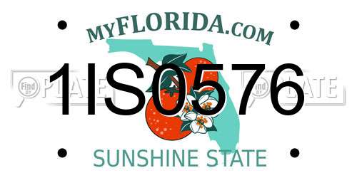 1IS0576 Florida License Plate