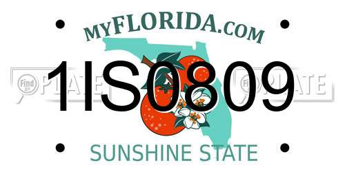 1IS0809 Florida License Plate