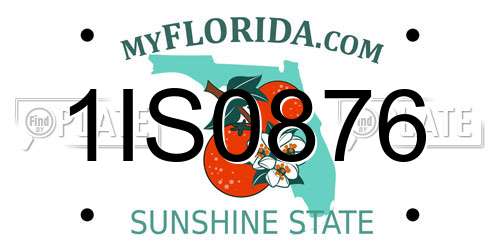 1IS0876 Florida License Plate