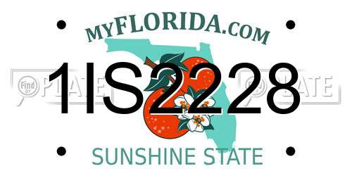 1IS2228 Florida License Plate