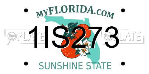 1IS273 Florida License Plate