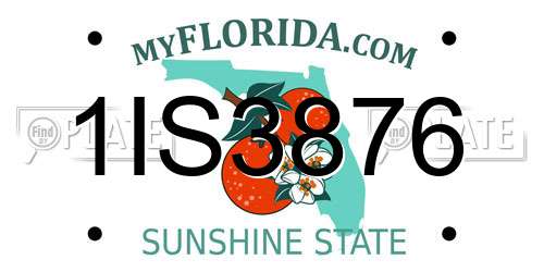1IS3876 Florida License Plate