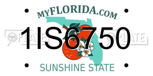 1IS6750 Florida License Plate