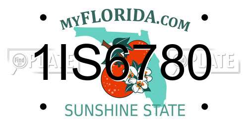 1IS6780 Florida License Plate