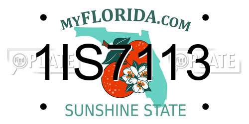1IS7113 Florida License Plate