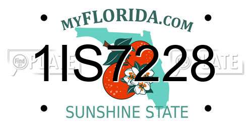 1IS7228 Florida License Plate