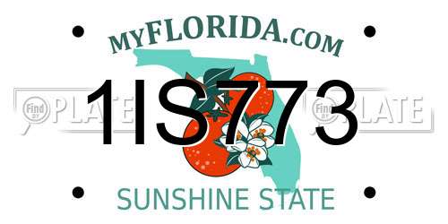 1IS773 Florida License Plate