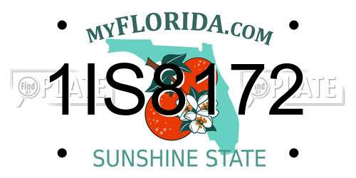 1IS8172 Florida License Plate