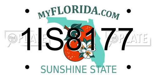 1IS8177 Florida License Plate