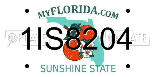 1IS8204 Florida License Plate
