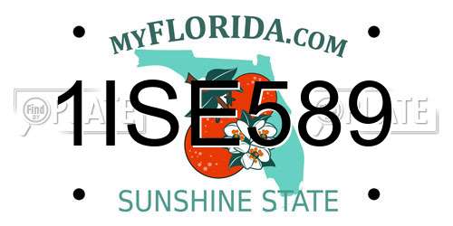 1ISE589 Florida License Plate