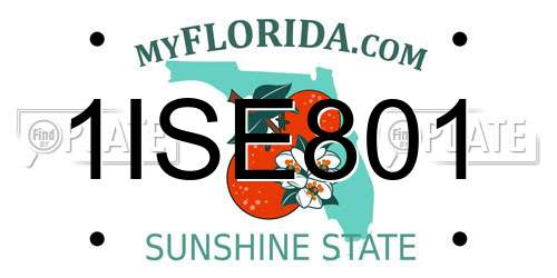 1ISE801 Florida License Plate