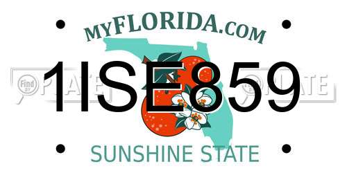 1ISE859 Florida License Plate