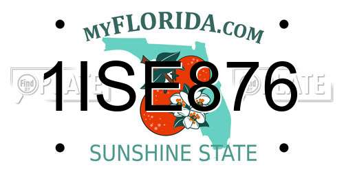 1ISE876 Florida License Plate
