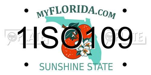 1ISO109 Florida License Plate