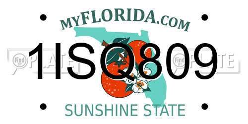 1ISQ809 Florida License Plate